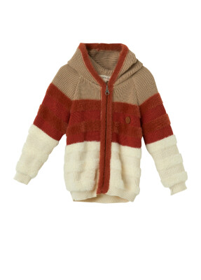Wholesale Unisex Baby Organic Cotton Hooded Cardigan 6-36M Patique 1061-21150 - Uludağ Triko