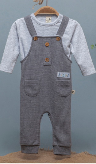  Toptan Erkek Bebek 2'li Tulum ve Uzun Kollu Tişört Takım 3-12M BabyZ 1097-4221 - 2