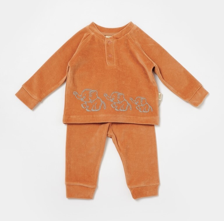 Toptan Bebek 2'li Kadife Sweatshirt ve Pantolon Takım 3-24M Baby Cosy 2022-CSYK6049 - 1