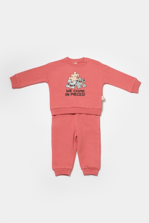 Toptan Bebek 2'li Sweatshirt ve Pantolon Takımı 3-24M %100 Organik Pamuk Baby Cosy 2022-CSY8026 - 1