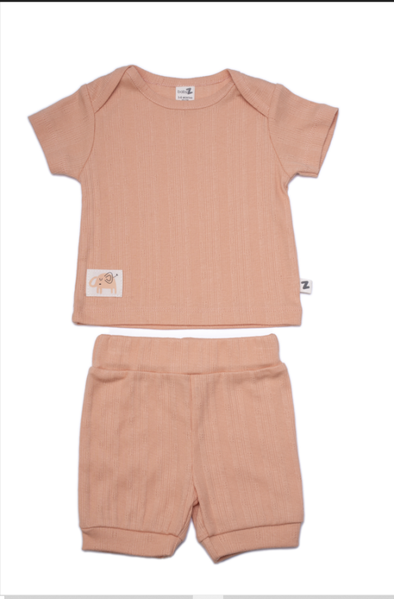 Toptan Bebek 2'li Tişört ve Şort Takım 6-18M BabyZ 1097-4721 - 1