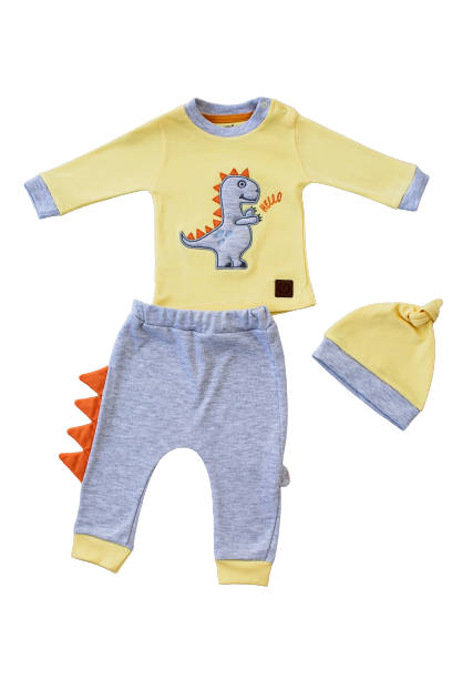 Toptan Bebek 3'lü Sweatshirt Pantalon ve Şapka Takım 3-12M Tomuycuk 1074-75559 - 1