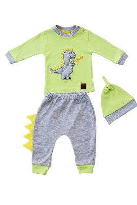 Toptan Bebek 3'lü Sweatshirt Pantalon ve Şapka Takım 3-12M Tomuycuk 1074-75559 Yeşil