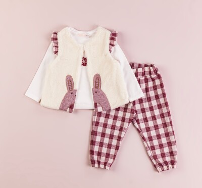 Toptan Bebek 3'lü Yelek Pantolon ve Bluz Takım 9-24M BabyRose 1002-4365 - BabyRose (1)