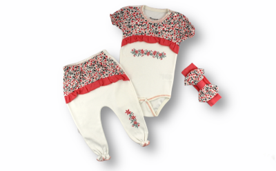 Toptan Bebek 3'lü Yeni doğan Takım 6-18M Tomuycuk 1074-75490 - Tomuycuk