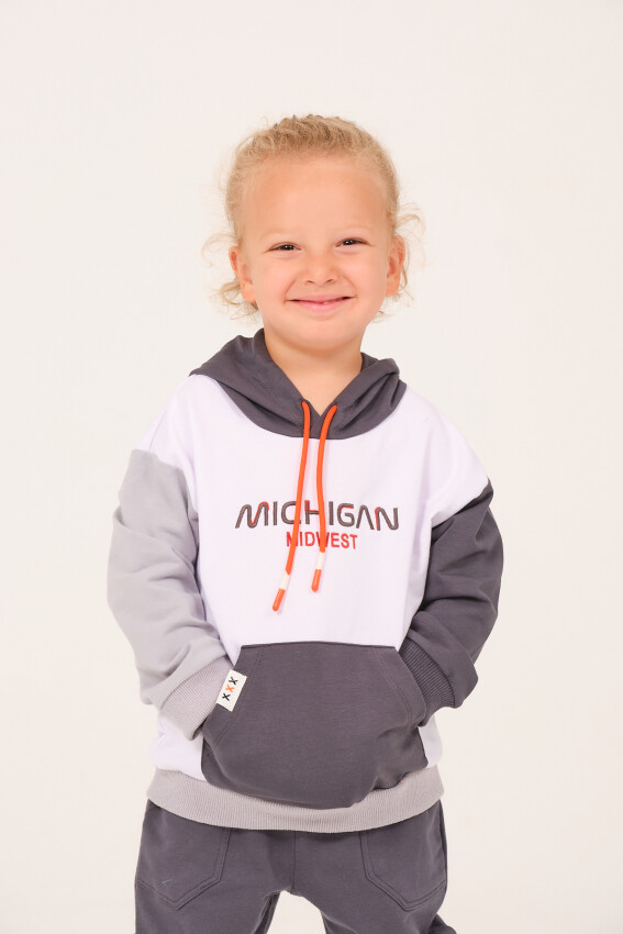 Toptan Erkek Çocuk Kapüşonlu Nakışlı Sweatshirt 1-12Y Zeyland 1070-252Z3EZC63 - 2