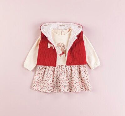 Toptan Kız Bebek 2'li Elbise ve Yelek Takım 9-24M BabyRose 1002-4303 - BabyRose