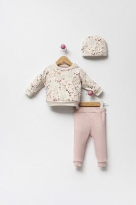 Toptan Kız Bebek 2'lü Şapkalı Sweatshirt ve Pantolon Takımı 3-18M Bubbles 2040-3125 Pembe