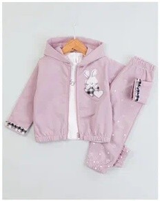 Toptan Kız Bebek 3'lü Baskılı Hırka Sweat ve Eşofman Altı Takım 9-24M BabyRose 1002-7783 - 3