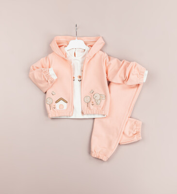Toptan Kız Bebek 3'lü Ceket, Bluz ve Pantolon Takım 6-18M BabyRose 1002-7754 - 3