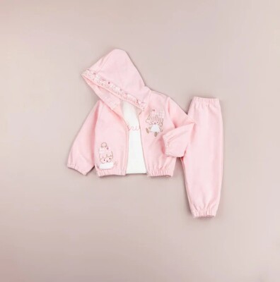 Toptan Kız Bebek 3'lü Ceket, Tişört ve Pantolon Takımı 9-24M BabyRose 1002-7763 - BabyRose