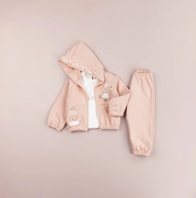 Toptan Kız Bebek 3'lü Ceket, Tişört ve Pantolon Takımı 9-24M BabyRose 1002-7763 - BabyRose (1)