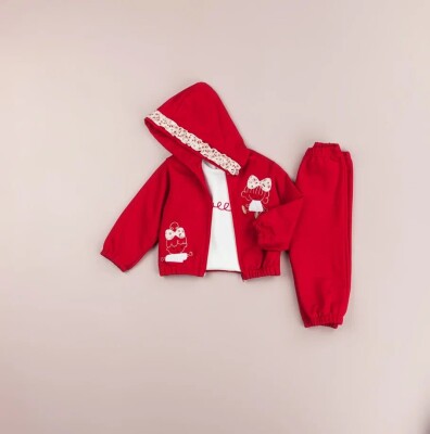 Toptan Kız Bebek 3'lü Ceket, Tişört ve Pantolon Takımı 9-24M BabyRose 1002-7763 Kırmızı