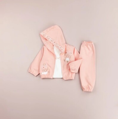 Toptan Kız Bebek 3'lü Ceket, Tişört ve Pantolon Takımı 9-24M BabyRose 1002-7763 Somon
