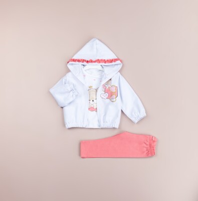 Toptan Kız Bebek 3'lü Ceket, Tişört ve Tayt Takım 6-18M BabyRose 1002-7765 - BabyRose