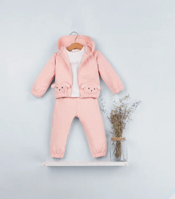 Toptan Kız Bebek 3'lü Eşofman Takımı 9-24M BabyRose 1002-7786 Pudra