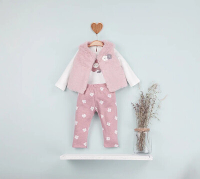 Toptan Kız Bebek 3'lü Yelek Pantolon ve Body Takım 6-18M BabyRose 1002-4629 - 3