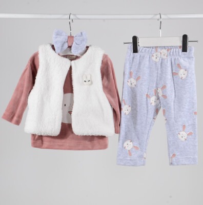 Toptan Kız Bebek 4'Lü Fiyonk Baskılı Yelekli Takım 6-18M Serkon Baby&Kids 1084-M0397 Gül Kurusu