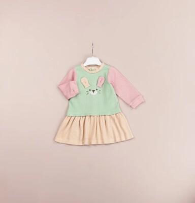 Toptan Kız Bebek Elbise 6-18M BabyRose 1002-4513 Yeşil