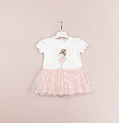 Toptan Kız Bebek Elbise 9-24M BabyRose 1002-4483 Pembe