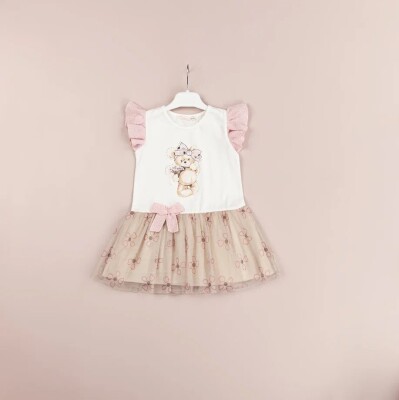 Toptan Kız Bebek Elbise 9-24M BabyRose 1002-4511 Pembe
