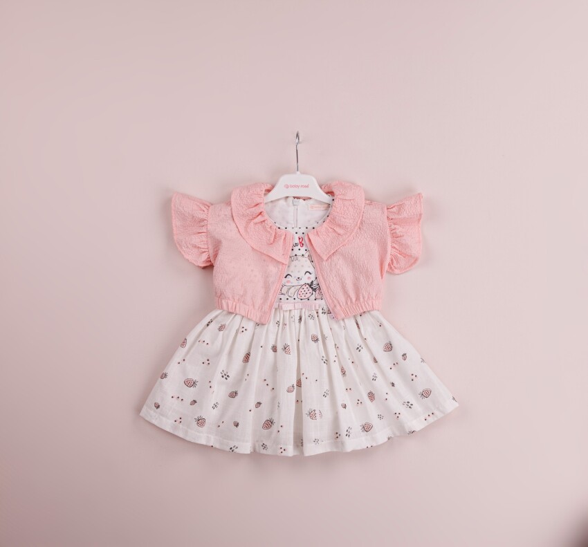 Toptan Kız Çocuk 2'li Elbise ve Bolero Takım 1-4Y BabyRose 1002-4066 - 1