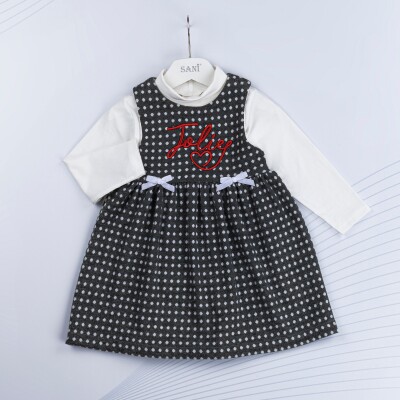 Toptan Kız Çocuk 2'li Elbise ve Uzun Kollu Tişört Takım 2-5Y Sani 1068-9905 - 1