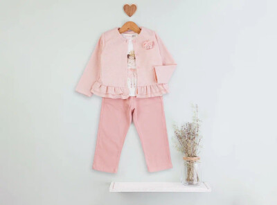 Toptan Kız Çocuk 3'lü Ceket Body ve Pantolon Takım 1-4Y BabyRose 1002-4690 - BabyRose