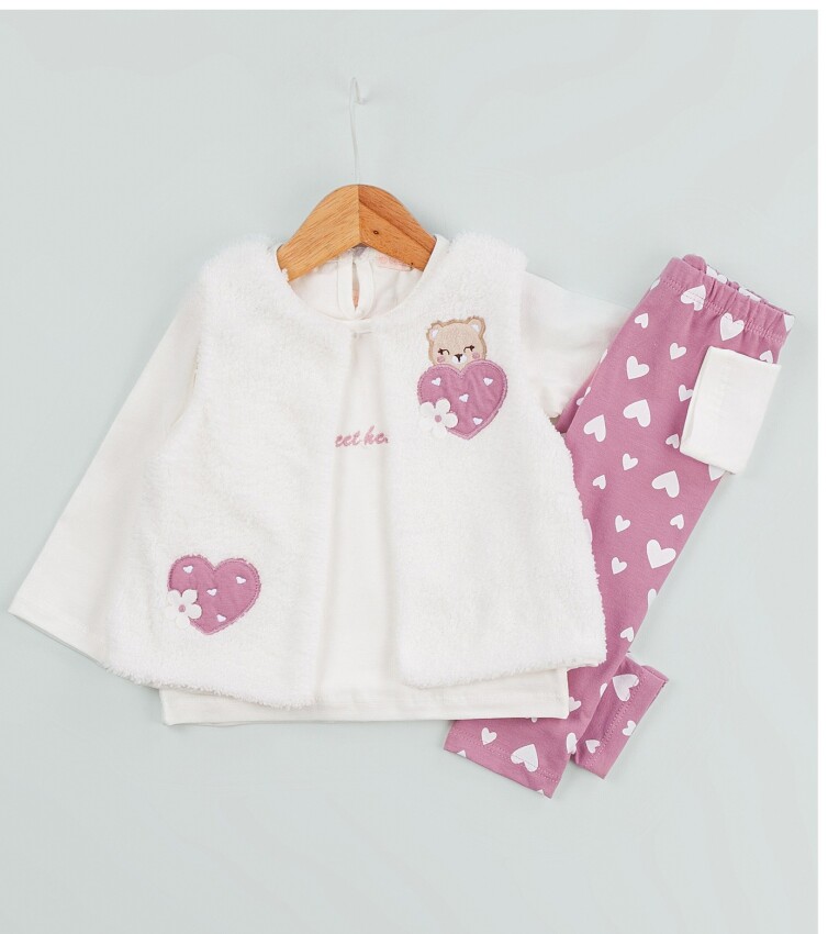 Toptan Kız Çocuk 3'lü Yelek Pantolon ve Body Takım 6-18M BabyRose 1002-4586 - 6