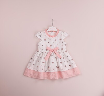 Toptan Kız Çocuk Elbise 1-4Y BabyRose 1002-4067 - 2