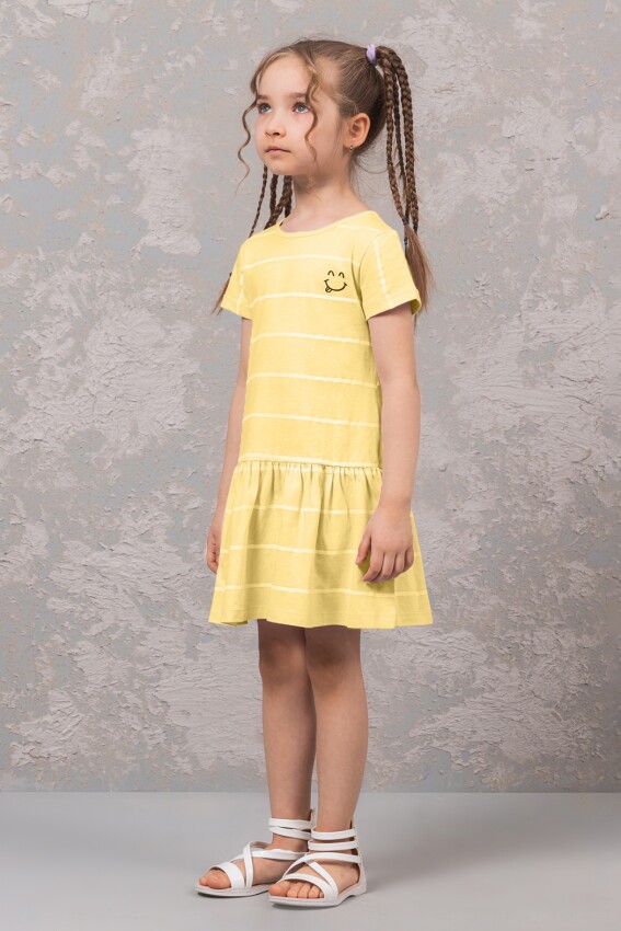 Toptan Kız Çocuk Elbise 3-7Y DMB Boys&Girls 1081-0246 - 1