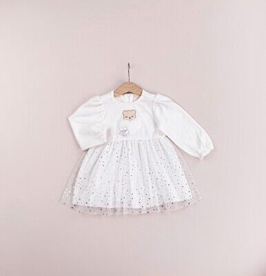 Toptan Kız Çocuk Kadife Elbise 9-24M BabyRose 1002-4372 Gümüş