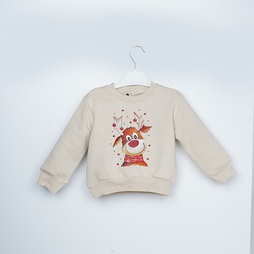 Toptan Kız Çocuk Sweatshirt 3-6Y Büşra Bebe 1016-23254 - 2