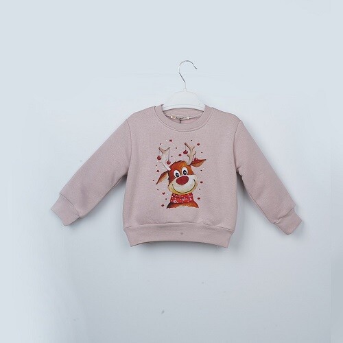 Toptan Kız Çocuk Sweatshirt 3-6Y Büşra Bebe 1016-23254 - 3