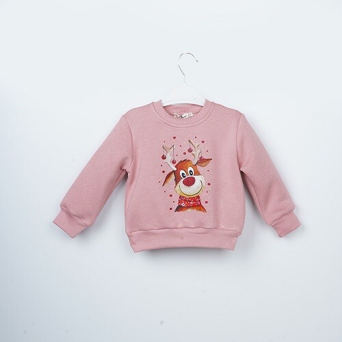 Toptan Kız Çocuk Sweatshirt 3-6Y Büşra Bebe 1016-23254 - 5