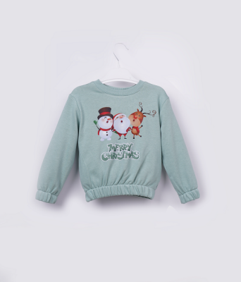 Toptan Kız Çocuk Sweatshirt 3-6Y Büşra Bebe 1016-23257 Yeşil