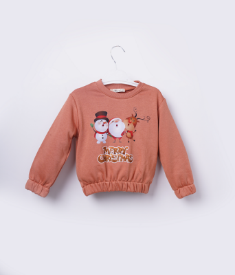 Toptan Kız Çocuk Sweatshirt 3-6Y Büşra Bebe 1016-23257 Kiremit