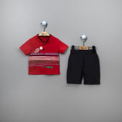Wholesale 2-Piece Baby Boys T-shirt Set with Shorts 6-18M Kumru Bebe 1075-3874 - 2