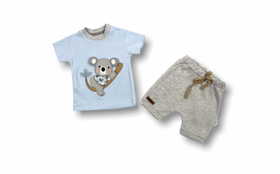 Wholesale 2-Piece Baby Boys T-shirt Set with Shorts Tomuycuk 1074-75542-03 - Tomuycuk