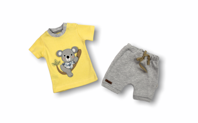 Wholesale 2-Piece Baby Boys T-shirt Set with Shorts Tomuycuk 1074-75542-03 - Tomuycuk (1)