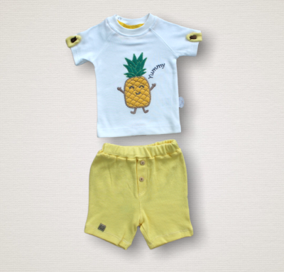 Wholesale 2-Piece Baby Boys T-Shirt Sets with Shorts 1-12M Tomuycuk 1074-75543-07 - Tomuycuk