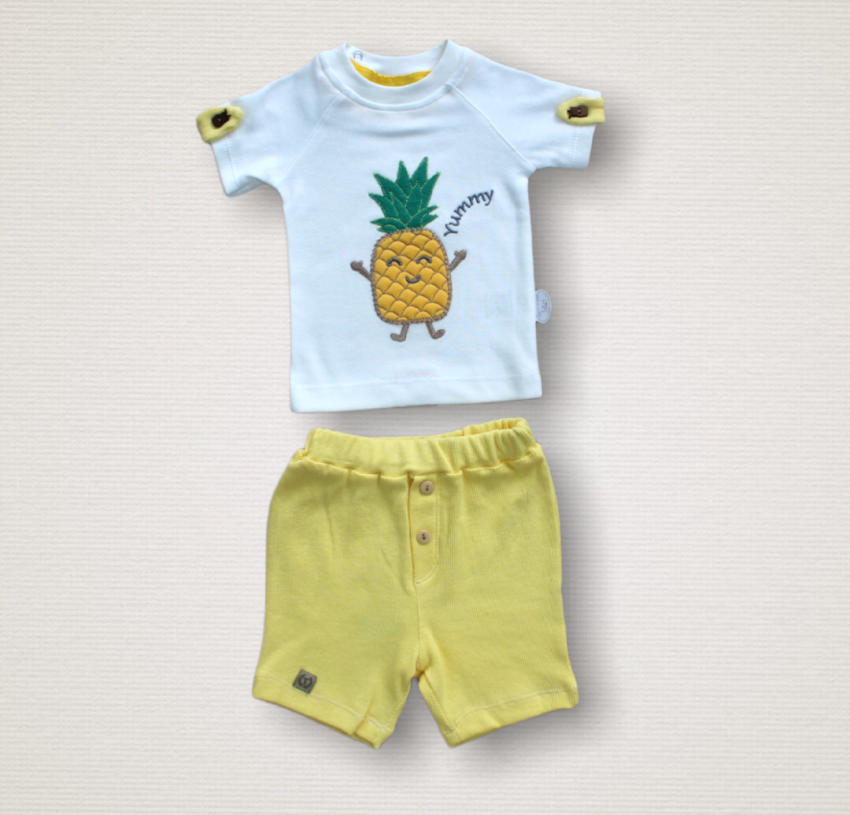 Wholesale 2-Piece Baby Boys T-Shirt Sets with Shorts 1-12M Tomuycuk 1074-75543-07 - 1