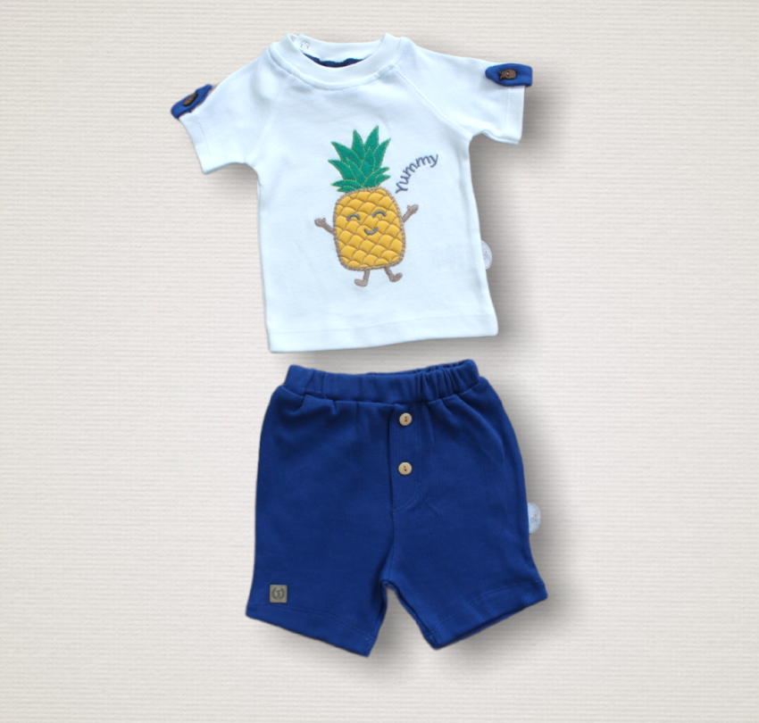 Wholesale 2-Piece Baby Boys T-Shirt Sets with Shorts 1-12M Tomuycuk 1074-75543-07 - 2