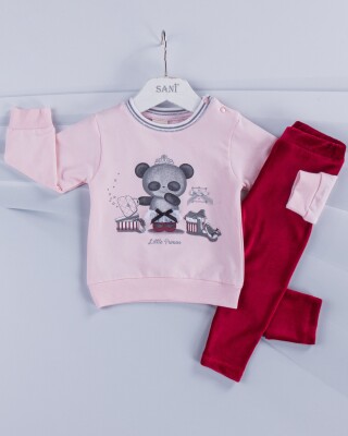 Wholesale 2-Piece Baby Girls Set with Sweat and Pants 9-24M Sani 1068-6911 Светло- розовый 