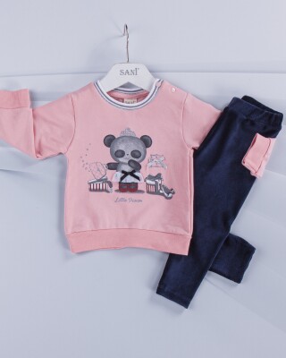 Wholesale 2-Piece Baby Girls Set with Sweat and Pants 9-24M Sani 1068-6911 Розовый 