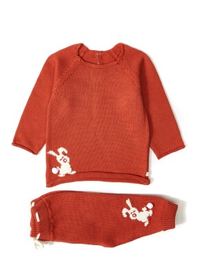 Wholesale 2-Piece Baby Organic Sweater Set with Pants 3-12M Uludağ Triko 1061-21040 - 2