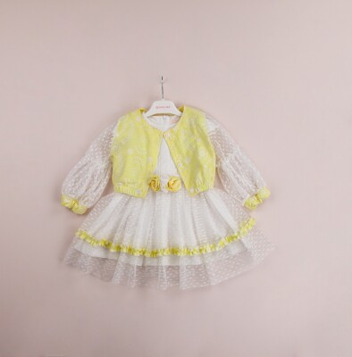 Wholesale 2-Piece Girls Tulle Dress with Bolero Set 1-4Y BabyRose 1002-4081 - Babyrose