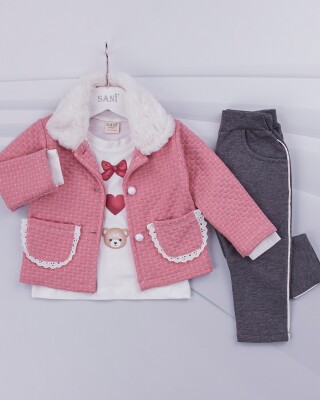 Wholesale 3-Piece Baby Girls Set with Jacket, Long Sleeve T-shirt and Pants 9-24M Sani 1068-6907 - 2