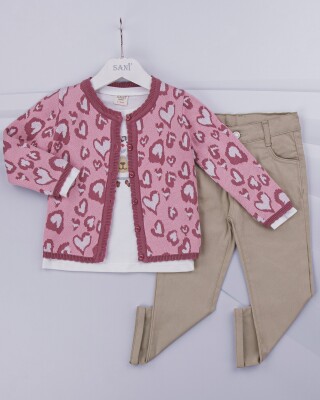 Wholesale 3-Piece Girls Set with Cardigan, Long Sleeve T-shirt and Pants 2-5Y Sani 1068-9766 - 2