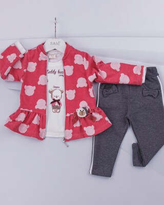 Wholesale 3-Piece Girls Set with Cardigan, Long Sleeve T-shirt and Pants 9-24M Sani 1068-6886 - Sani (1)